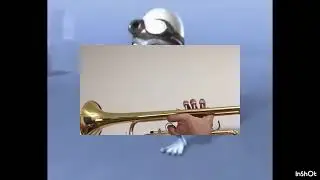 InShot tv party crazy frog and trumpet mini games 