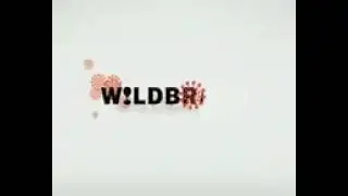 WildBrain 2007 with talking tom time rush 