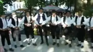 Nastup KUD-a Ivan Filipović Velika Kopanica 1. dio