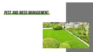 R.E. And Sons Landscaping - Landscapers&rsquo; Secrets to Perfect Lawn Care