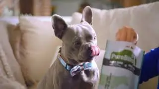 PureBites Freeze Dried Beef Liver Dog Treats