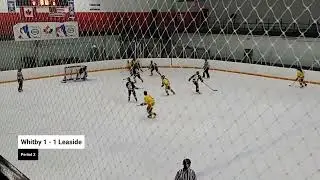 Leaside SCF3