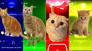Cute cats | Tiles Hop | Tiles Hop edm rush