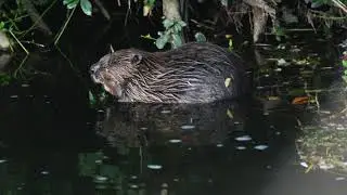 Devon&rsquo;s rivers - beautiful, fragile and in need of protection