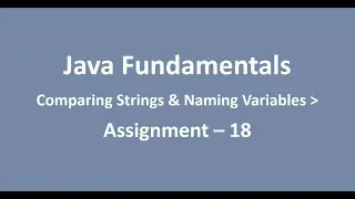 Assignment - 18 || Comparing Strings & Naming Variables || Java Fundamentals || NxtWave || CCBP