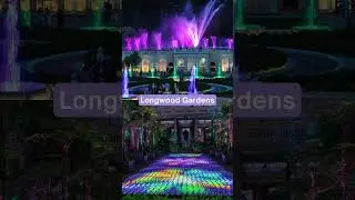 Places to see Christmas Lights in Philly