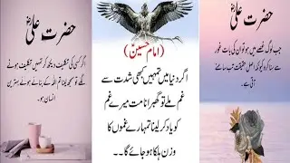 best Urdu quotes collection|choice is voice|urdu quotes about allah|Hazrat Ali Ke Aqwal