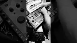 Great08 - High Quality - (HydraBerg vs  DevilShark Edit)