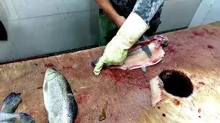 Super fast filleting of 2 TROUT in samurai style at Asian fish market