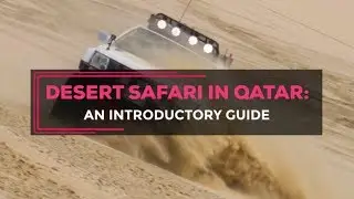 Desert Safari in Qatar: How to drive safely