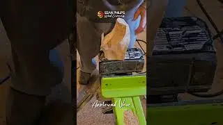 Apple vase carving