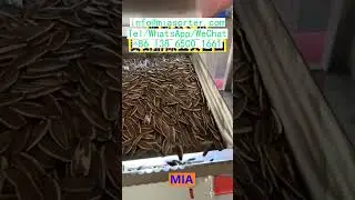 AI Color Sorter Machine Control Software and PCB Supplier Brazil Egypt Singapore Algeria India Korea
