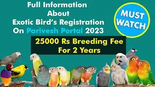 Full Information About Exotic Bird&rsquo;s Registration On Parivesh Portal 2023.@PARROTDIPANKAR