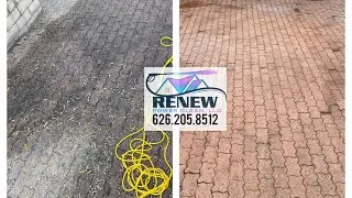 Deep Cleaning 🧼 #renewpowercleanllc #powercleaning #pressurewashing #softwashing #roofwashing