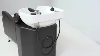 Avant Backwash Shampoo System