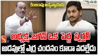 Minister Atchannaidu in Legislative Council|AP Budget Sessions#sasitv