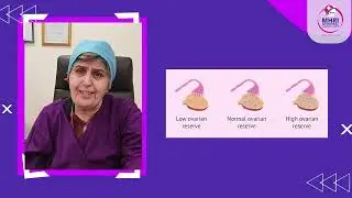 How to Prepare for IVF treatment | Dr Roya Rozati 