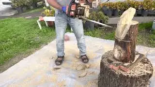 Chainsaw carving Cardinal
