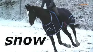 Reiten im Schnee - Riding in the snow - Schwarzes Pferd - Black horse much fun