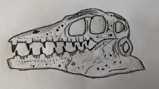 how to draw a mosasaur skull