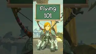 Flying/Bow Lift Smuggling 101 | Breath of the Wild Glitches