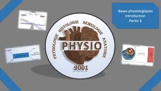 Base Physiologie / Introduction [partie 1] - Médecine - Vidéo pour comprendre les cours