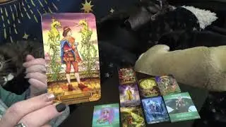 SCORPIO  YOUR MONEY, CAREER, & FINANCIAL SITUATION!!!