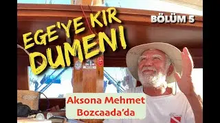 EGE'YE KIR DÜMENİ - SZ.2 BL#5 