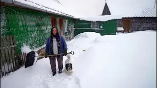 Așa arată o iarnă adevărată în Ținutul Pădurenilor, la Poiana Răchițelii