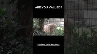FACES OF ADDICTION - VALIDATION