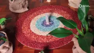 2º Encontro Anual do Centro da Consciência