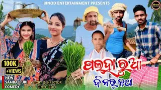 Palharua Dinar Katha || Sweta Nancy Mr Dambru || New Sambalpuri Comedy || Binod Entertainment