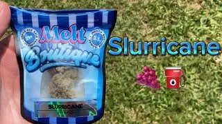 Melt Boutique THCA Flower is Fire! - Slurricane Review