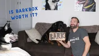 BARKBOX with Extra Toy | August 2021 | Highway to Howl Unboxing