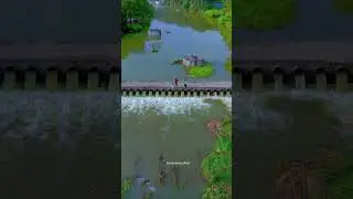 #Beautiful nature my village river💚🌴🌾🌳🌿 October 16, 2025