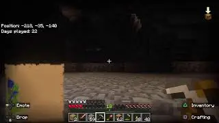 Minecraft Shenanigans!!