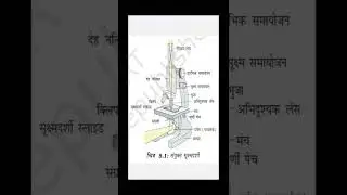 संयुक्त सूक्ष्मदर्शी|#knoworm|#shorts|#shorts