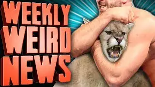 MAN VS BEAST - Weekly Weird News