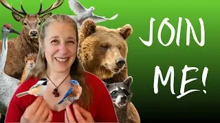 🐾Free LIVE Spirit Animal Masterclass - You're Invited!