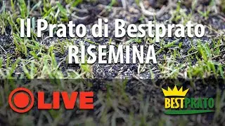 LA RIGENERAZIONE DEL PRATO DI BESTPRATO. RISEMINA!