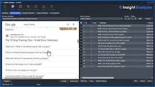 Extracting questions from Google and how to use the PAA Question Tree tool | Insight Analyzer