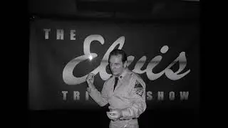 PAUL SCHOLEY AS ELVIS