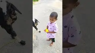 Dugu vlog 🥰🥰🥰
