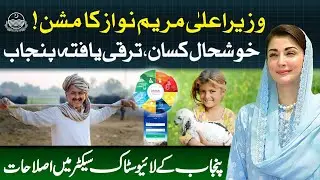 CM Maryam Nawaz Is Modernizing Cattle Markets | Farmers, Technology & Sustainability | PCMMDC | GOP