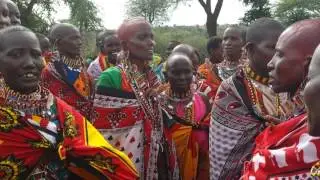 Osingwolio le Noyieyio, maasai wedding ceremony Mosiro