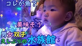 【水族館 男女1歳1ヶ月】浜名湖体験学習施設ウォット！双子赤ちゃんと行ってみた！Mix twins went to the aquarium after a long absence