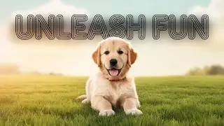 Hilarious Talking Dogs & Puppy Training &ndash; Fun & Easy Tips! 🐶😂🎓