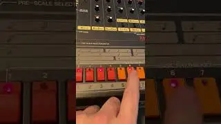 Vintage Roland TR 808 Building a 1980&rsquo;s Bronx beat