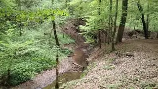Graz. Rettenbachklamm. Fr&uuml;hling. Wandern in Graz.