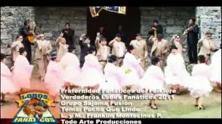 SAJAMA FUSION - PUCHA QUE LINDO - LOBOS FANATICOS